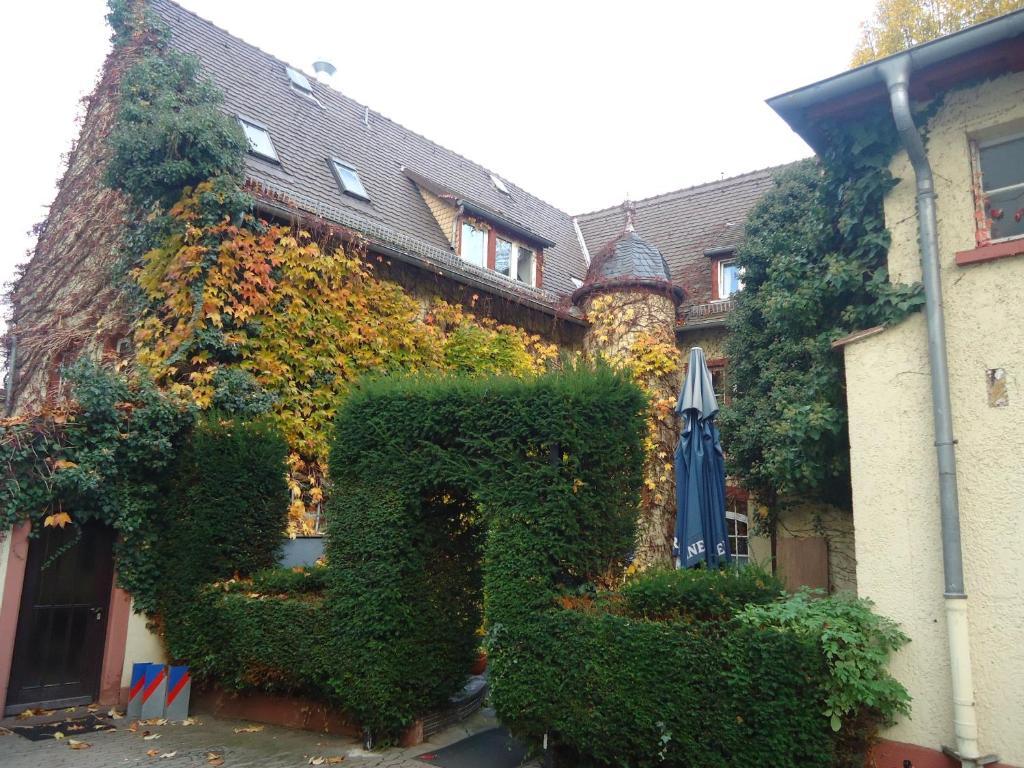 Hotel Burg-Stuben Maguncia Exterior foto